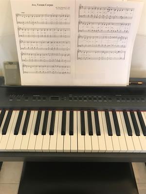 Pianoforte Digitale, marca Orla - Foto 2