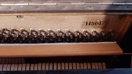 Foto 2 Pianoforte, colore nero, marca Strausser