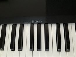 Foto 5 Tastiera Casio, modello CDP 120
