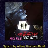 Enrico Nigiotti - Notturna