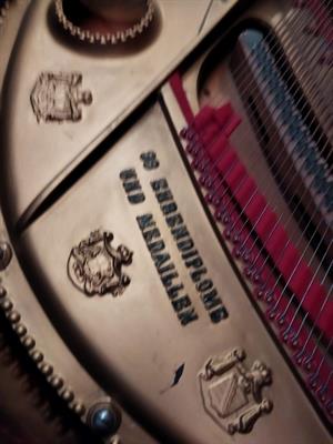 Pianoforte a coda d'epoca SCHIEDMAYER - Foto 5