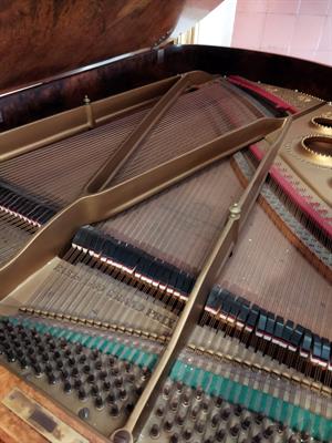 Pianoforte a coda d'epoca SCHIEDMAYER - Foto 6