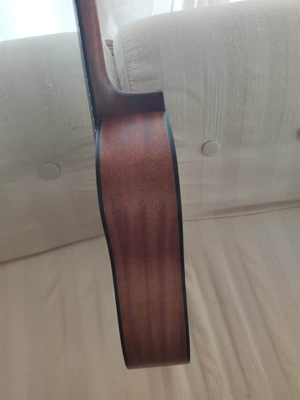 Foto 2 Ibanez Performance PF10M