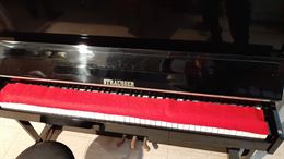 Foto 3 Pianoforte, colore nero, marca Strausser