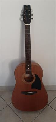 Chitarra Marca LION By WASHBURN LD7M
