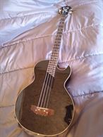Basso Washburn AB-10 + custodia rigida