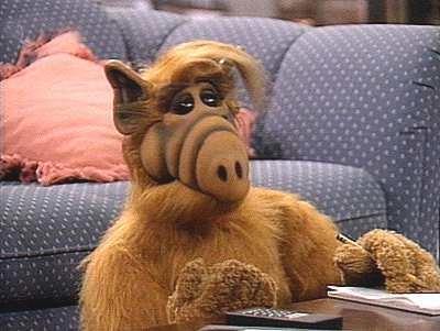 ALF L'alieno serie tv completa anni 80