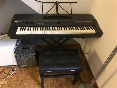 Tastiera Soppesata Roland Rd250s