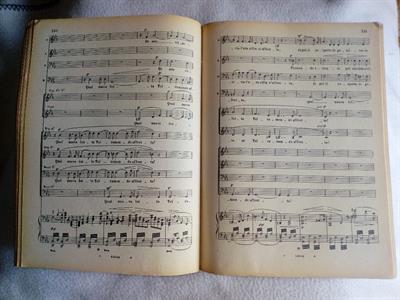 Foto - 10