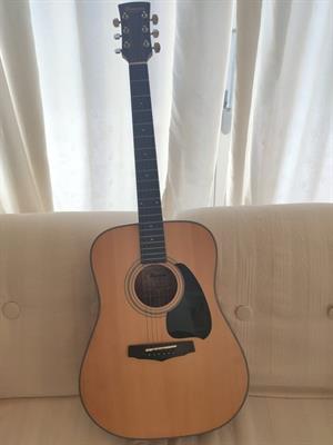 Ibanez Performance PF10M